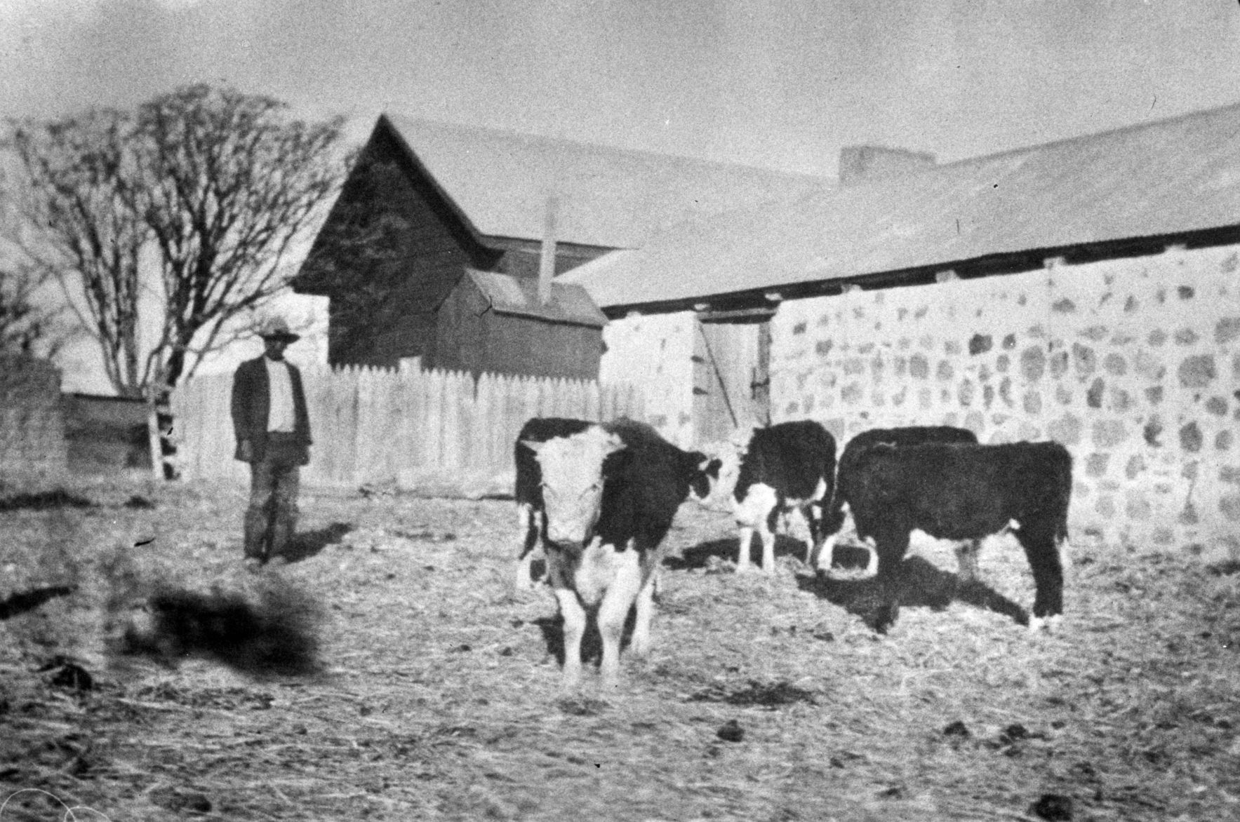 Historic Empire Ranch near Sonoita